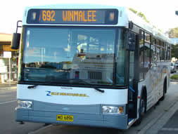 Blue Mountains Bus Co bus @ Springwood