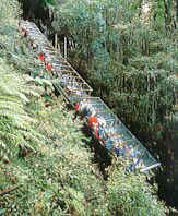 Katoomba Scenic Railway, Blue Mountains, Australia